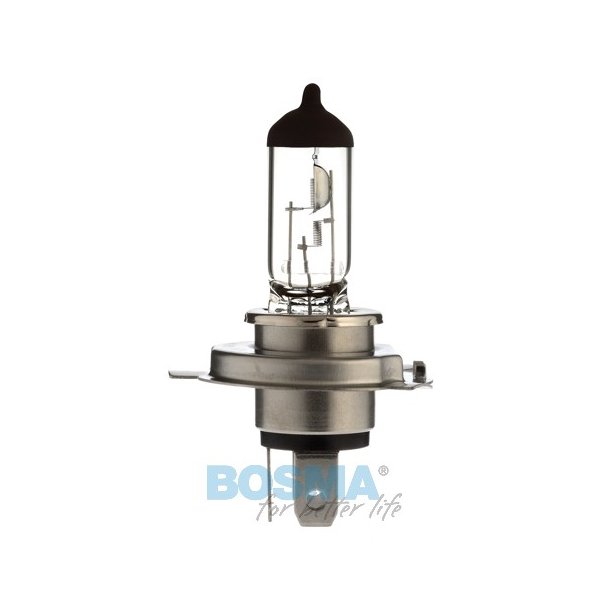 12V 60 / 55W H4 P43t