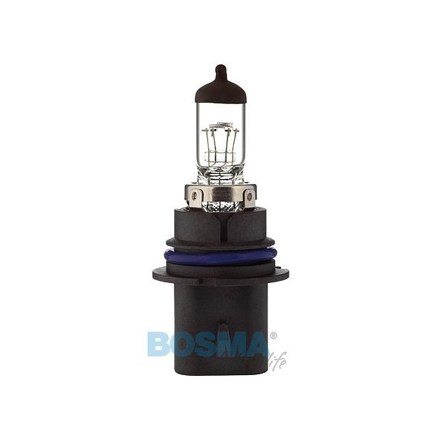12V 65 / 45W HB1 9004 P29t